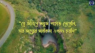 প্রকৃতি নিয়ে কিছু উক্তি | Quotes About Nature | Natural View.