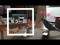 vol.35『スケボーに乗った日』セキセイインコのサクちゃん