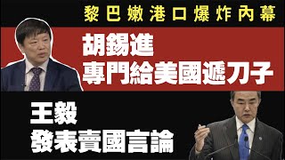 黎巴嫩港口爆炸内幕；胡锡进，专门给美国递刀子；王毅，发表卖国言论。2020.08.06NO445#黎巴嫩爆炸#胡锡进#王毅