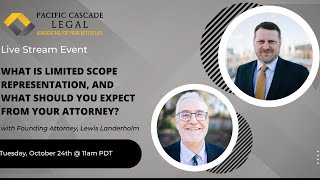 What Is Limited Scope Representation, and What Should You Expect?