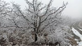 -5 derece de sisli havada tektek yaptım şartları zorladım iyi seyirler