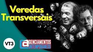 [VT3] - Veredas Transversais Mediação Ana Paula F. Margarites