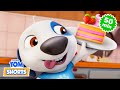 Happy Birthday Hank! 💙 Talking Tom Shorts Compilation