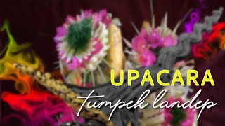 UPACARA TUMPEK LANDEP | BALI TRADITION