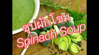 ซุปผักโขม Spinach Soup