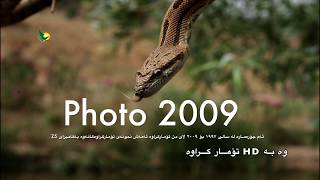 Wild Kurdistan Snake ماری په‌یكان  افعی