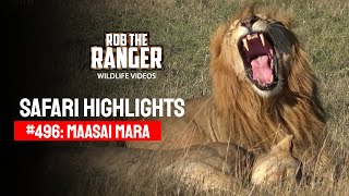 Safari Highlights #496: 26 September 2018 | Maasai Mara/Zebra Plains | Latest #Wildlife Sightings