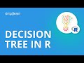 Decision Tree In R | Decision Tree Algorithm | Data Science Tutorial | Machine Learning |Simplilearn