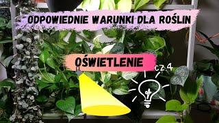 Odpowiednie warunki dla roślin cz.4 OŚWIETLENIE