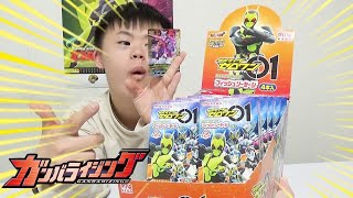 仮面ライダーゼロワン　フィッシュソーセージ第２弾のガンバライジングカードを開けてみた！