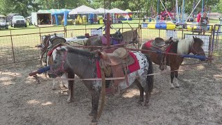 Hope Arkansas Watermelon underway this weekend