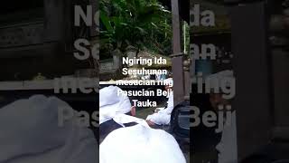 Ngiring Ida Sesuhunan mesucian ring Pesucian Beji Tauka 11 November 2022