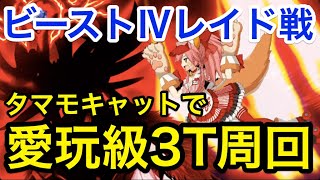 【FGO】タマモキャットでビーストⅣレイド戦(愛玩級)3ターン周回【非霊長生存圏 ツングースカ･サンクチュアリ】