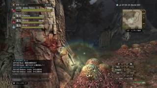 DDON モローのあの宝箱やっと取れた（笑）