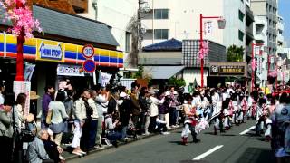 川崎大師よさこい２０１２　早稲田大学　東京花火さん