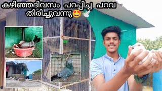 കഴിഞ്ഞദിവസം പറഞ്ഞുപോയ പറവ തിരിച്ചെത്തി 🕊️🔥|parava training