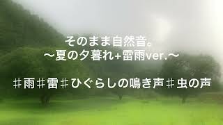 【1/fゆらぎ】【α波】自然音セラピー | 夏の夕立（雷雨）~そのまま自然音ver.~  #雷#雨#ひぐらしの鳴き声#虫の声