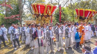 2024年 榎列 掃守祭礼団 だんじり唄〈御所桜〉本宮 瑞井八幡神社にて 2024.4.14 兵庫県南あわじ市