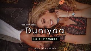 Duniyaa - Lo-fi Mix (slowed ~ reverb), Ash aesthetic 2022