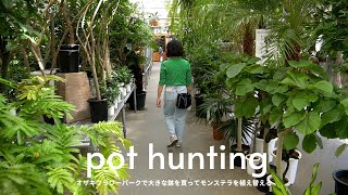 【Plants vlog】モンステラの植え替え, pot hunting, オザキフラワーパークに行って鉢を探す, 観葉植物のある暮らし