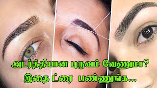 அடர்த்தியான புருவம் வேணுமா? இதை ட்ரை பண்ணுங்க | Natural Ways to Grow Thick Eyebrows