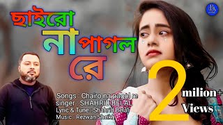 ছাইরো না পাগল রে | Chairo Na Pagol Re| Shahrid Belal | হারাইয়ো না আমারে | bangla Tiktok Song 2025