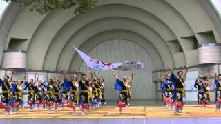 原宿表参道元氣祭スーパーよさこい２０１１　祭・ＷＡＩＷＡＩよこはま