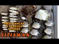 Amir Chalet  Fishing Corner (sitiawan)- Review 3hari 2malam