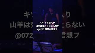 LIVE キツネの嫁入り「山羊は死刑台に上らない」@0723 月見ル君想フ