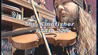 Fiddle Tune A Day #228 - “The Kingfisher”