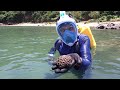 娥眉洲 浮潛 遇不明物體 snorkeling at crescent island saw ufo