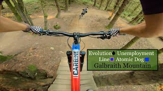 Evolution to Unemployment Line to Atomic Dog - Galbraith Mountain in Bellingham, WA