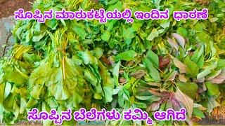 ಸೊಪ್ಪಿನ ಮಾರುಕಟ್ಟೆಯ ಸೊಪ್ಪಿನದರ | ಪಾಲಕ್ ಸೊಪ್ಪು, ಕೊತ್ತಂಬರಿ ಸೊಪ್ಪು, ಮೆಂತ್ಯ ಸೊಪ್ಪು ಇಂದಿನ ದರ ಚಿತ್ರದುರ್ಗ