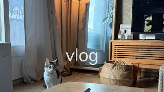 vlog | 직장인브이로그 | 데일리룩 | 부추삼겹살 | 찜질방 사우나 스파 | le17septembre 무스탕 니트 | 모한 코트 | 르메르 | 헌터 인트레피드 | 뉴발란스 패딩