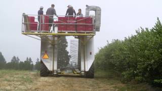 Ecampus video Field Trip Demonstration