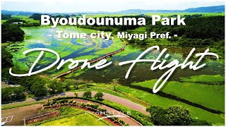 【宮城・登米「平筒沼公園」】沼は緑色〔dji Mini3 Pro \u0026 Pocket2〕- hirokiSTYLE VLOG/vol.124