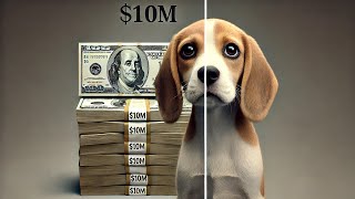 Your Money Is Torturing Animals (EXPOSED)