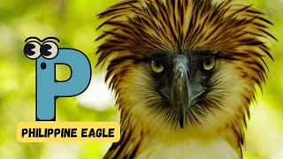 ABC Endangered Animal Song Video for Kids | Alphabet with Endangered Animals | Phonics \u0026 English