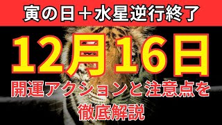 【見逃さないで！】12月16日は寅の日＋水星逆行終了｜運気を引き寄せる3つの行動