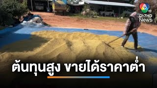 ทุกข์ของชาวนา ! ต้นทุนสูง ขายข้าวได้ราคาต่ำ | เช้านี้ที่หมอชิต