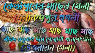 কেস্টপুর মাছের মেলা😍Kestopur Fish Fair😍Debanandapur Hooghly😍Kestopur Macher Mela😍#youtube #viral