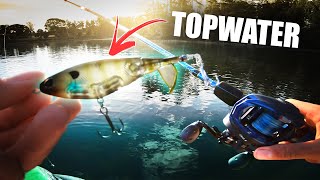 Crazy TOPWATER FISHING in Tiny Lake 💥🐊 (Ultra Clear Water!!!)