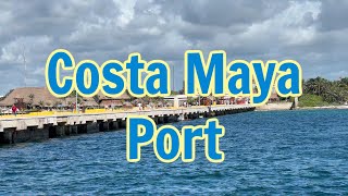 Enchantment of the Seas Vlog Sep 7-14 Costa Maya Port