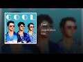 Jonas Brothers - Cool (Audio)