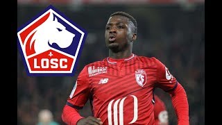 Nicolas Pepe ⚫ Welcome To Arsenal ⚫ Goals , LOSC Lille & Assists ⚫ HD