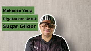 #4 Makanan Yang Digalakkan Untuk Sugar Glider (Malaysia)