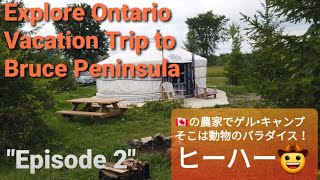 動物パラダイスのゲルキャンプ、夜は焚き火でキャンプ飯。そこに現れたのは？？？ \