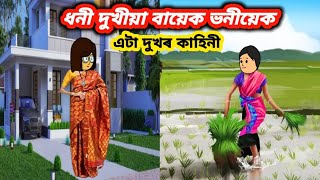 💥দুখীয়া আৰু ধনী বায়েক ভনীয়েক💥/Assamese cartoon Assamese story/Assamese Cartoon story