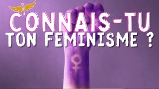 LE GUIDE DES FEMINISMES (pour les glands)