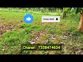 🔴sold🔴small farm land sale in ramanagara near bengaluru charan 7338474634 farmland bengaluru